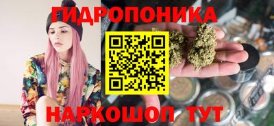 прущие грибы Обнинск