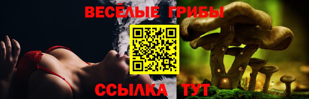 Славянск-на-Кубани  где купить   Вход с VPN  Псилоцибиновые грибы мицелий 